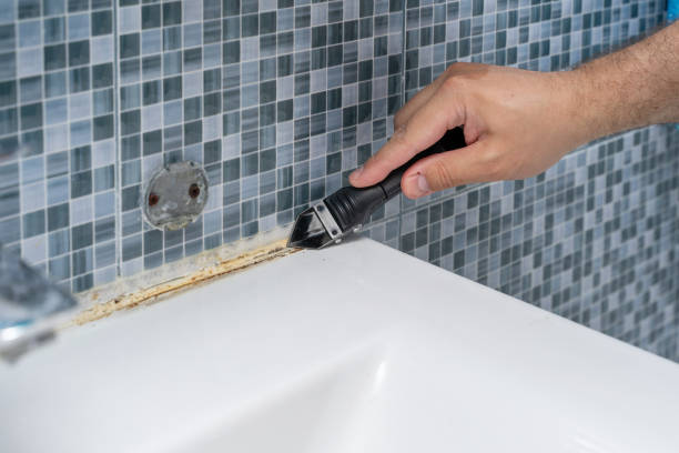 Professional Mold Remediation in Deerfield, MI